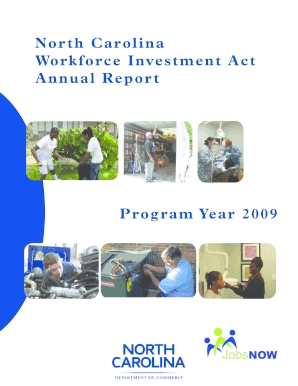 PY2009 Annual Report  Form