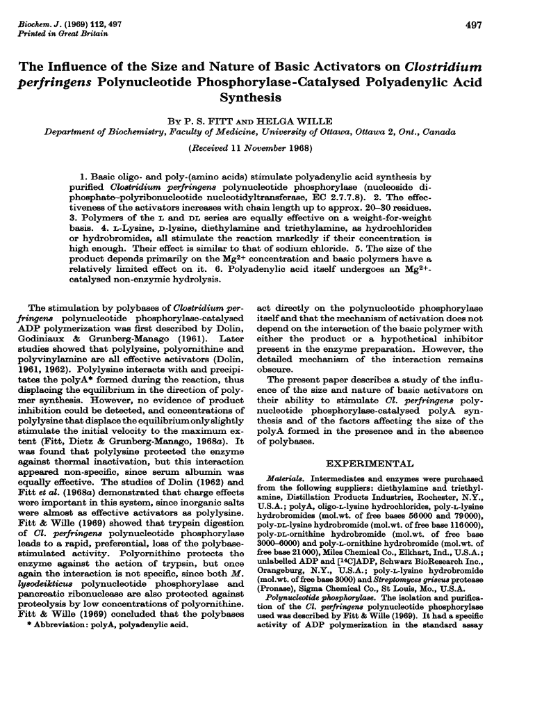 The Influence of the Size and Nature of Basic Activators on Clostridium Perfringens Polynucleotide Phosphorylase Catalysed Polya  Form