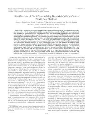 Identification of DNA Synthesizing Bacterial Cells in Coastal North Aem Asm  Form