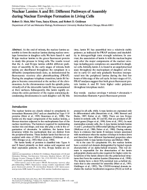 Nuclear Lamins a and B1 Different Pathways of Assembly during Jcb Rupress  Form