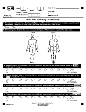 Brief Pain Inventory Form