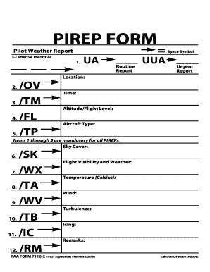 Pirep Decoder  Form
