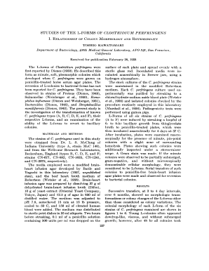 STUDIES of the L FORMS of CLOSTRIDIUM PERFRINGENS Ncbi Nlm Nih