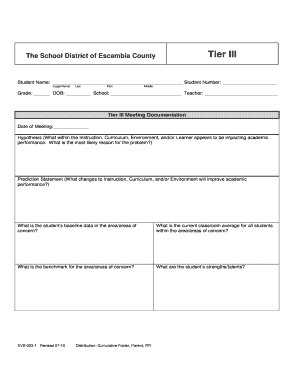  Escambia County Tier Form 2010