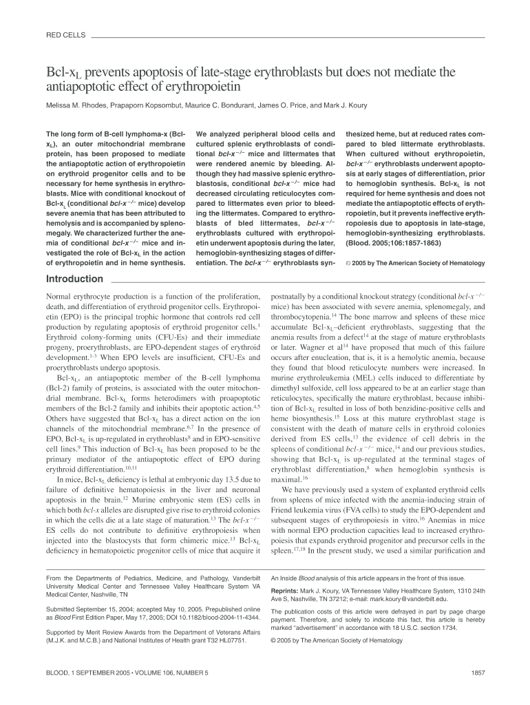 Bcl XL Prevents Apoptosis of Late Stage Erythroblasts but Does Not Bloodjournal Hematologylibrary  Form