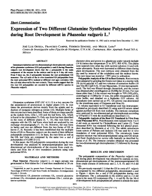 Expression of Two Different Glutamine Synthetase Polypeptides Plantphysiol  Form