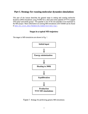 Molecular Dynamics Simulation Online Server  Form