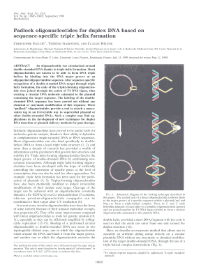 Padlock Oligonucleotides for Duplex DNA Based on Sequence Pnas  Form