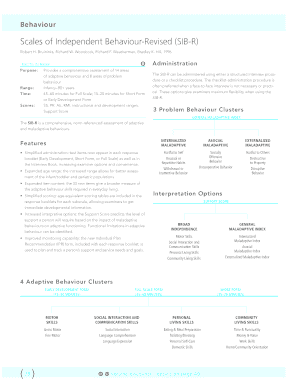 Sib R Assessment PDF  Form