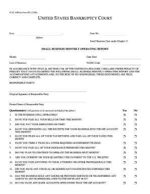 Business Report Monthly  Form