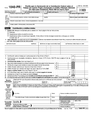 Form 1040 PR Fill in Version