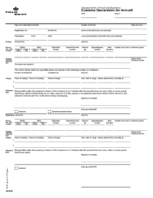 Us Customs Form Fillable