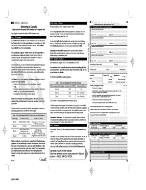 Editable E311 Form