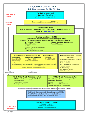 Fema Sequence of Delivery  Form