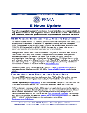 FEMA E NEWS Update 01 08 09 Fema  Form