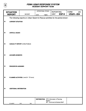 Sit Report  Form