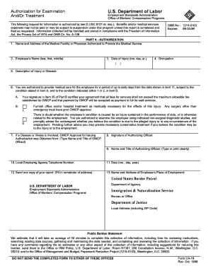 Ca 16 Fillable  Form