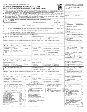 Food Stamp Statement  Form