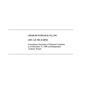Charles Schwab Bank Statement PDF  Form