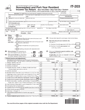  it 203 Form 2010