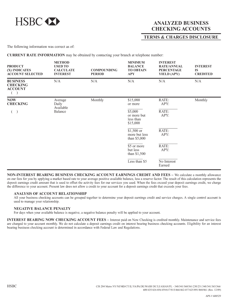 CIS 204 METRO NY 09  HSBC Bank USA  Form