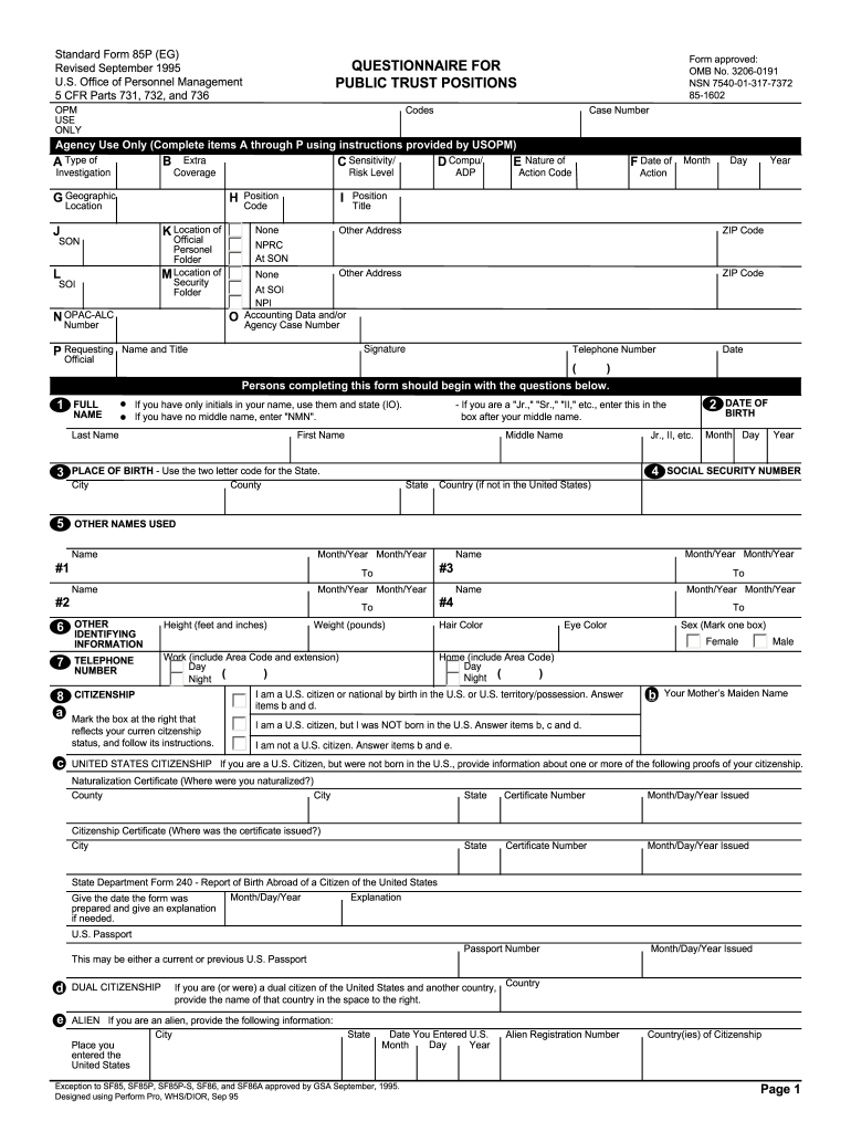  Sf85p Form 1995