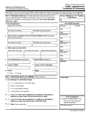 N 600 Form PDF