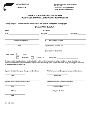 Ga Amber Light Permit  Form