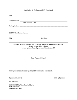 Replacement Paramedic Card Georgia Form