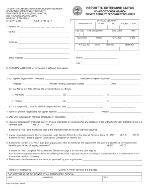 Tn Report to Determine Status Fillable Form