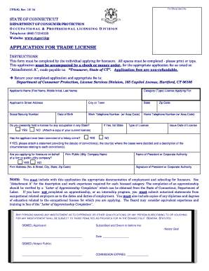 Pic of a Blank Trade License Form