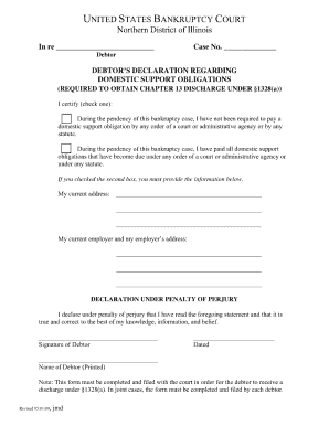 Declaration of Domestic Support Form