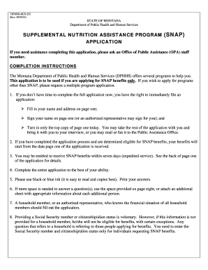 Montana Snap Application PDF  Form