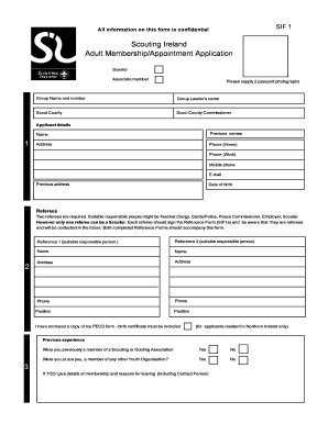 Adult Scout Application PDF Filler  Form