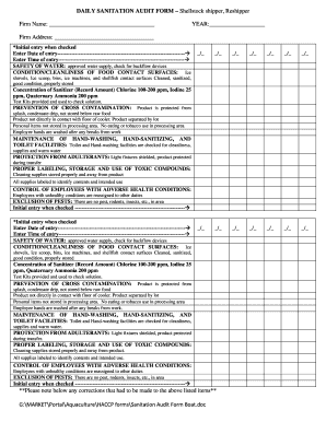 Online Audit Form