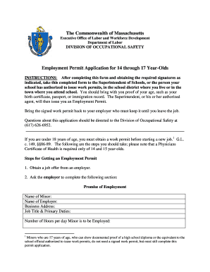 Massachusetts Work Permit PDF  Form