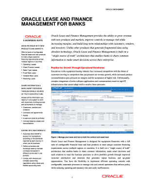 ORACLE LEASE and FINANCE  Form