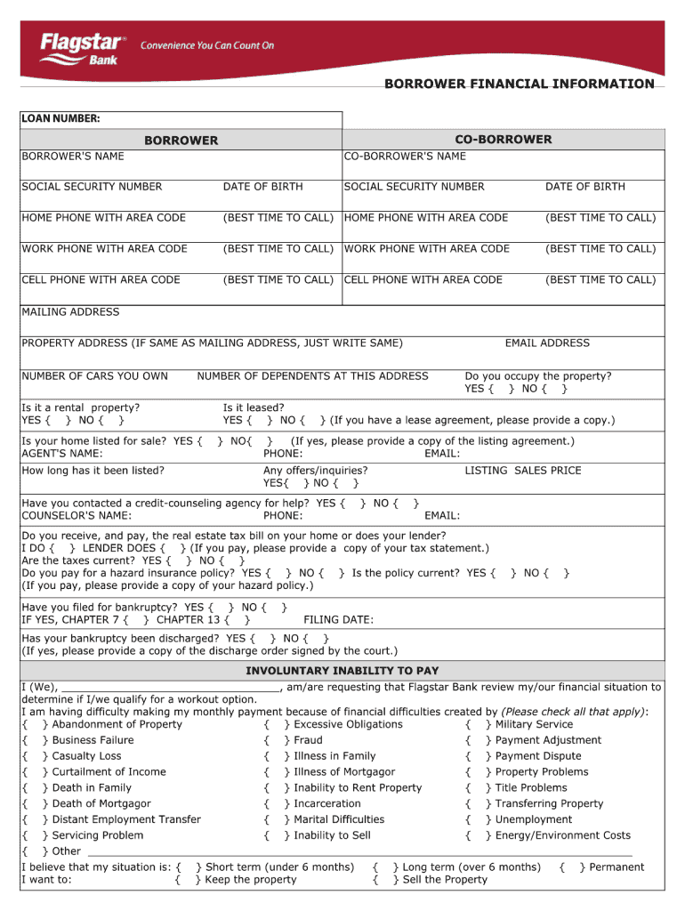 BORROWER FINANCIAL INFORMATION  Flagstar