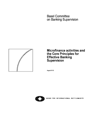 Microfinance Activities and  Form