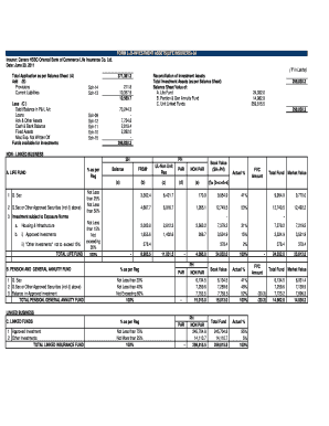 Total BApplicationb as Per Balance Sheet a  Form