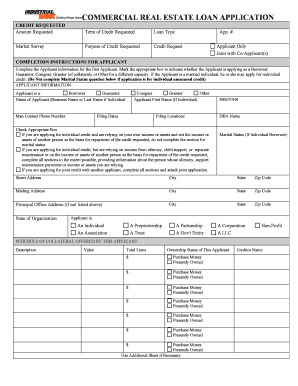 Commercial Real Estate Loan Application Form