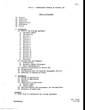 Blm Manual 3160 11 Underground Storage of Natural Gas  Form