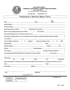 Palo Pinto Probation  Form