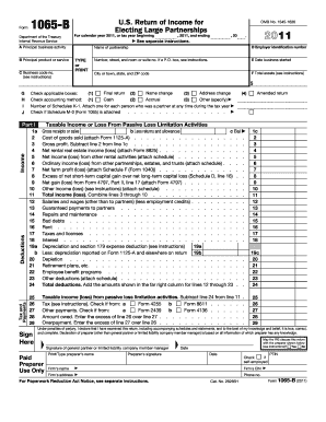 Principal Product or Service 1065  Form
