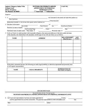 Pfa Petition for Probate Andor Personal Rep Form
