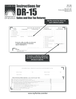 Florida Form Dr 15n