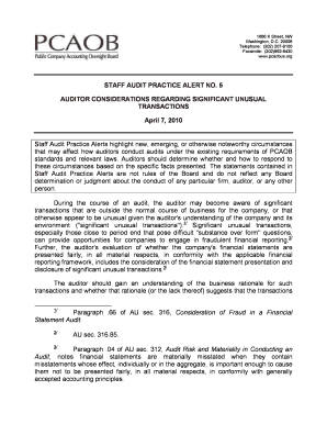 AUDITOR CONSIDERATIONS REGARDING SIGNIFICANT UNUSUAL  Form