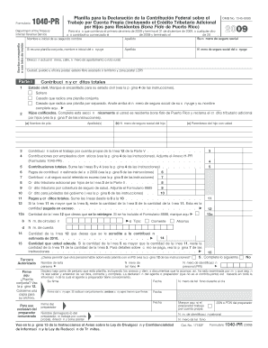 1040 Pr Form