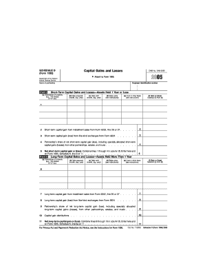 Form 1065 Schedule D Fill in Capable Capital Gains and Losses