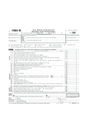 Form 1065 B Use the IRS Label